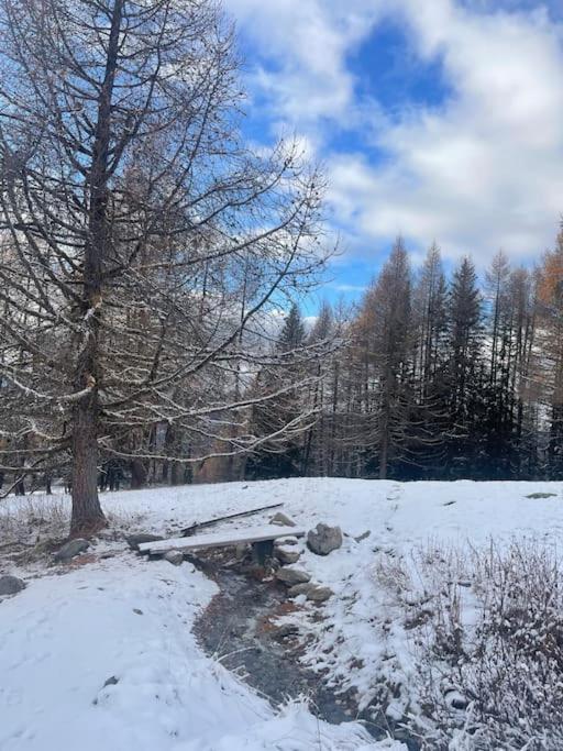 Confort Et Espace Pour Cet Appartement Duplex De 100 M2 Avec Grand Sejour Expose Sud Avec Cheminee, 4 Chambres , Acces Direct Aux Pistes De Ski Et Au Golf Dans La Residence Edenarc Avec Piscine, Jacuzzi Et Spa Bourg-Saint-Maurice Exterior photo